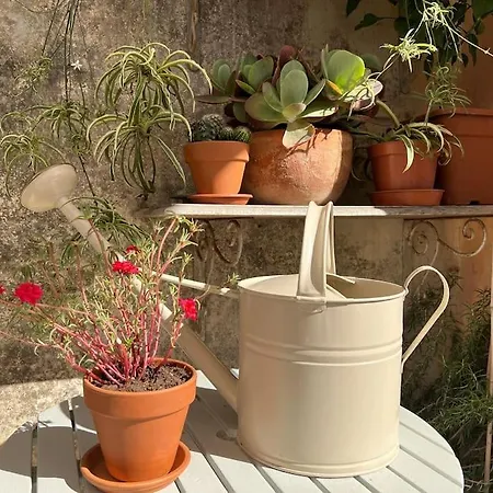 Artist With Private Roof Terrace 弗洛里亚纳